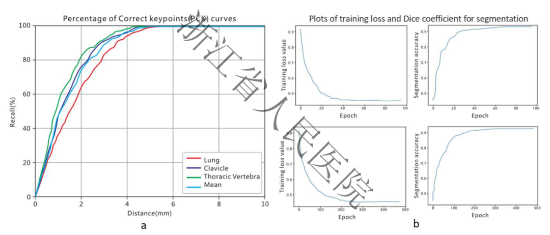 《European Radiology》最新文章：基于深度学习和线性回归级联算法的胸片自动质量评价-新闻动态|健培科技
